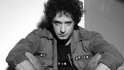gallery/cerati-ts1452180319.jpg_792370018